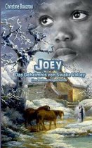 Joey-Das Geheimnis von Swake Valley