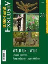 Wald und Wild