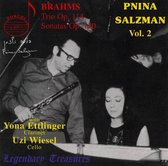 Salzman Vol.2/Brahms