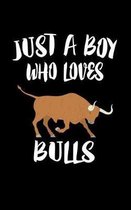 Just A Boy Who Loves Bulls