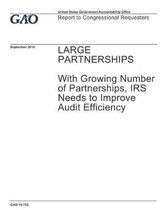 Large Partnerships