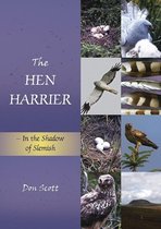 Hen Harrier In The Shadow Of Slemish