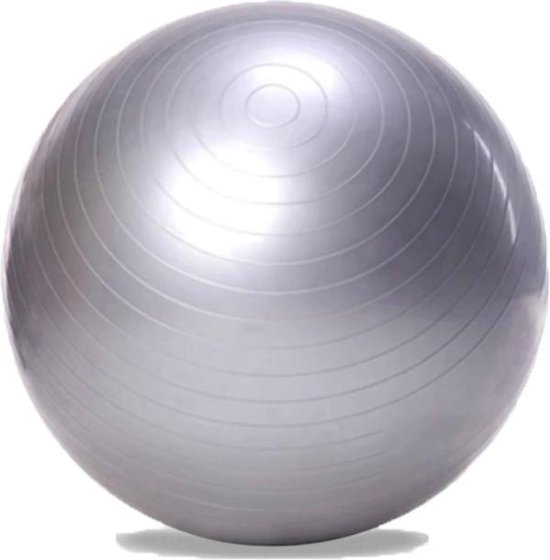 bol.com | DW4Trading® Yoga fitness gym bal 65 cm zilver