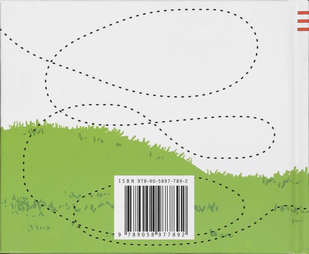Hoe vind je geluk - back cover