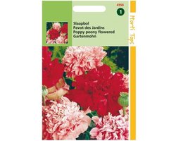 Hortitops Zaden - Papaver Somniferum (Paeoniflorum) Gemengd