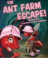 The Ant Farm Escape!