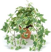 Kunstplant klimop groen/wit in pot 30 cm- Kamerplant groen/witte klimop