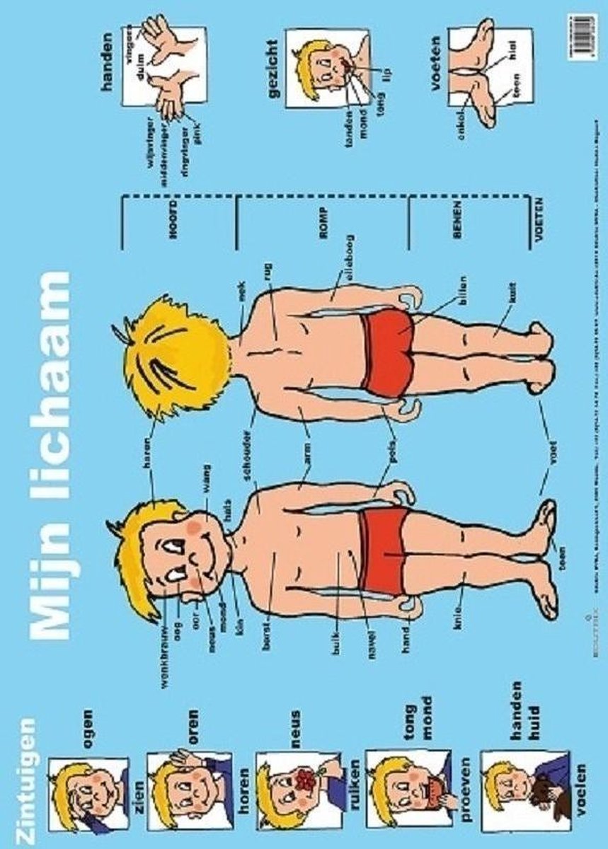 Mijn lichaam