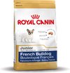 Royal Canin French Bulldog Junior - Hondenvoer - 10 kg