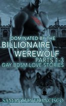 Gay BDSM Love Stories 2 - Dominated By The Billionaire Werewolf, Parts 1-3