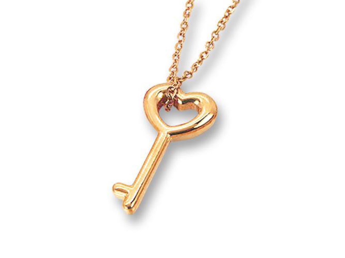 Amanto Ketting Efi Rosé - 316L Staal - Sleutel - 23x11mm - 45cm