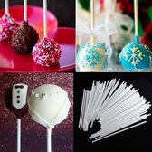 100X Papieren Cakepop Stokjes Set - Pop Cake Lolly Stokjes/ Lollipop Sticks - 10cm AA Commerce