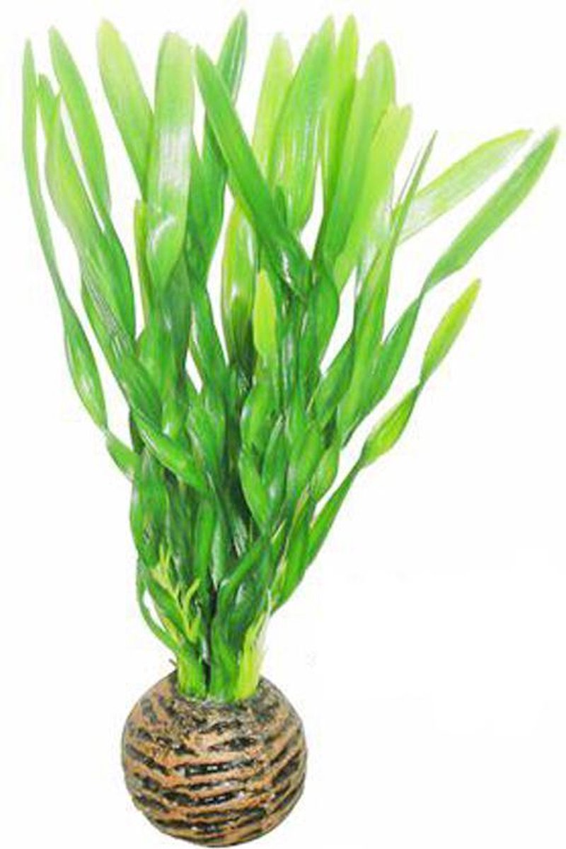 Superfish Easy Plants laag 13 cm - nr 6 thumbnail 2