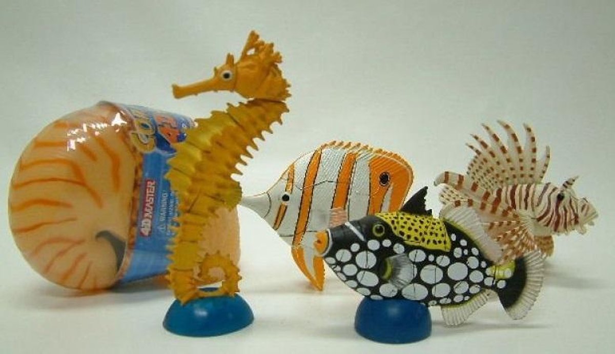 Set van 4 Coral fish 4D puzzel | bol.com