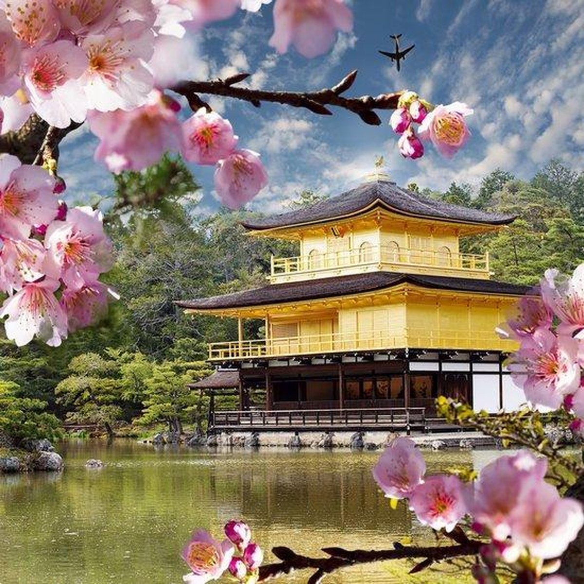 bol.com | DP® Diamond Painting pakket volwassenen - Afbeelding: Gouden