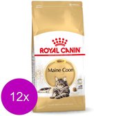 Royal Canin Fbn Mainecoon Adult - Kattenvoer - 12 x 400 g