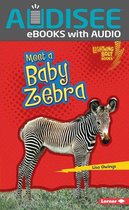 Lightning Bolt Books ® — Baby African Animals - Meet a Baby Zebra