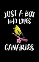 Just A Boy Who Loves Canaries