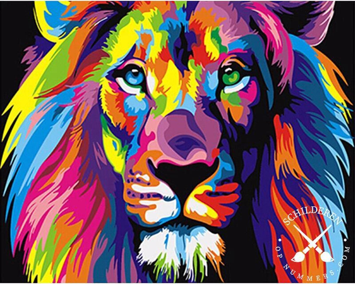 Lion coloré - Peinture par numéro 50x40cm avec cadre