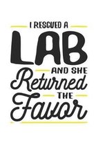 I Rescued a Lab and She Returned the Favor