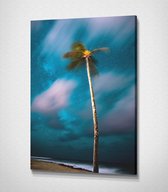 Palm Tree - 70 x 100 cm - Landschap - Schilderij - Canvas - Slaapkamer - Wanddecoratie  - Slaapkamer - Foto op canvas