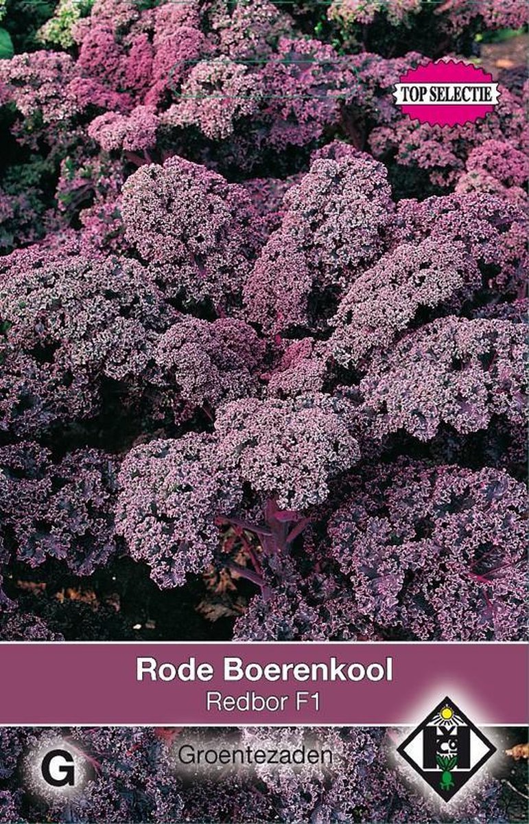 2 stuks Van Hemert & Co Rode boerenkool Red Bor F1