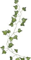 Ginger ray - 5 Plantenslingers - Feestdecoratie - Groen - Plastic -