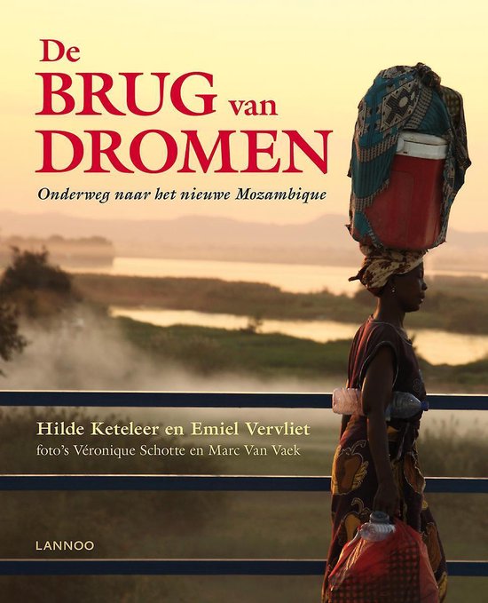 Cover van het boek 'De Brug Van Dromen'