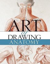 Art Of Drawing Anatomy