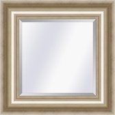 Klassieke spiegel Academie Zilver large 76mm        Buitenmaat 66x91cm