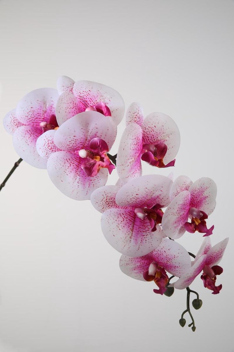 Viv! Home Luxuries Orchidee Phalaenopsis - zijden bloem - roze wit - 86cm