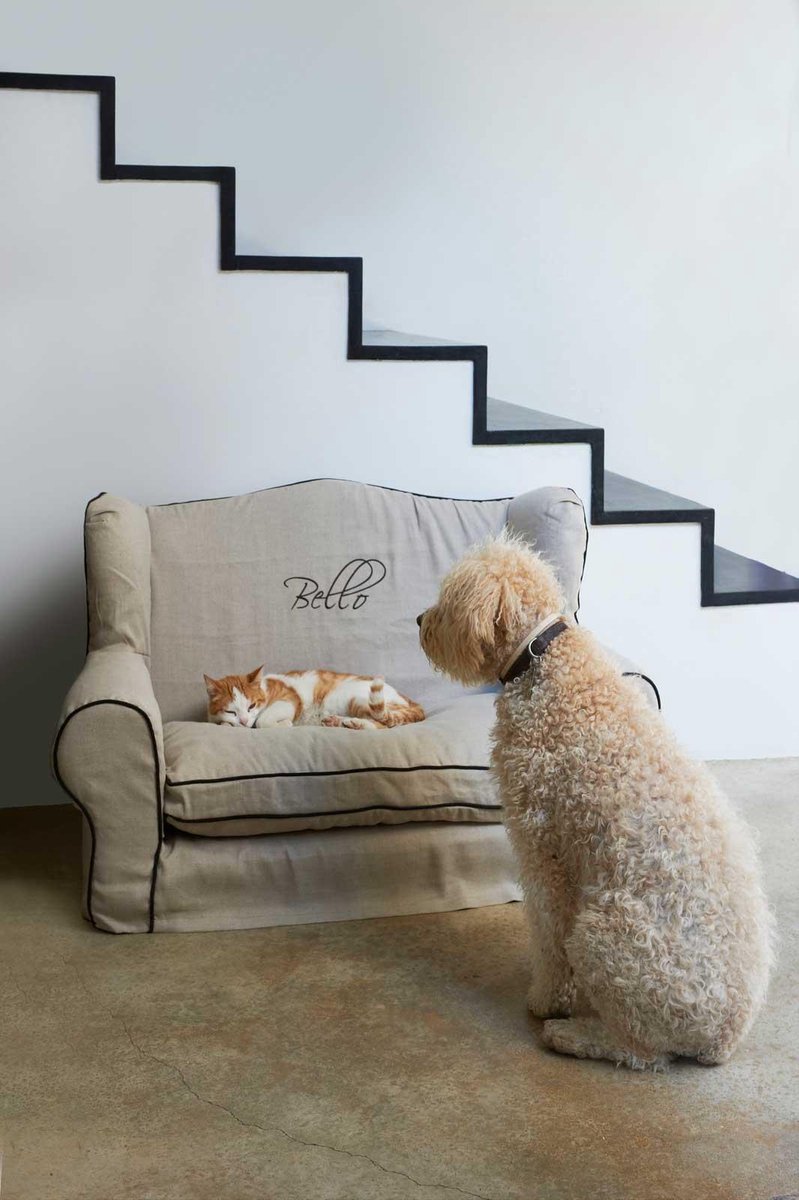 Rivièra Maison This Is My... Dog Chair - Hondenmand - Small - Zwart/Flax |  bol.com