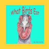 What Birds Eat