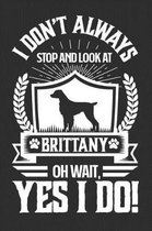 I Don't Always Stop and Look At Brittany OH Wait, Yes I Do!