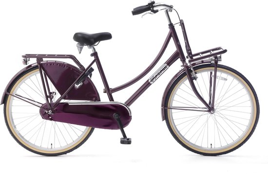 Popal Daily Dutch Basic+ Transportfiets - Meisjes - 26 Inch - Paars |  bol.com