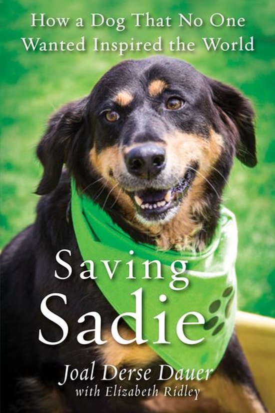 Saving Sadie - cover