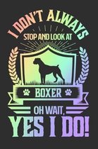 I Don't Always Stop and Look At Boxer OH Wait, Yes I Do!