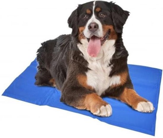 KOELMAT M - 50x65cm blauw