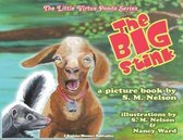 The Little Virtue Ponds-The Big Stink