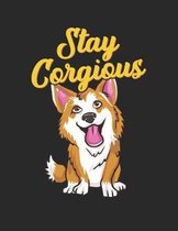 Stay Corgious
