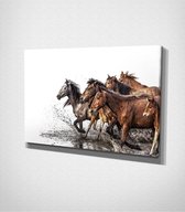 Horses Running Canvas | 80x120 cm