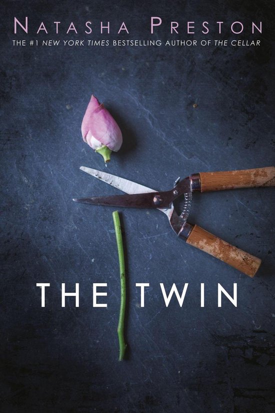 The Twin - cover