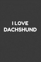 I love Dachshund