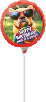 "Sweet Birthday" FolieBallon, 23 cm