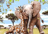 Artstudioclub®  Schilderen op nummer volwassenen 40x50cm  Giraffe & olifant