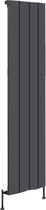 Design radiator verticaal aluminium mat antraciet 180x37,5cm1288 watt- Eastbrook Fairford