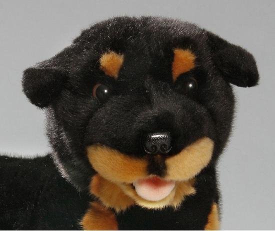 Pluche knuffel Rottweiler hond 35 cm | bol.com