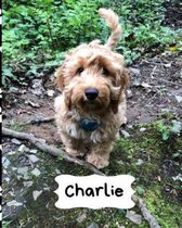 Charlie