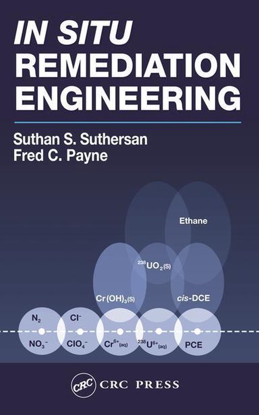 In Situ Remediation Engineering - cover