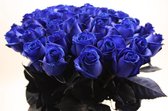 Boeket 25 blauwe rozen